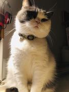 小波本尊39477的个人资料头像