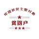 每壹天299头像