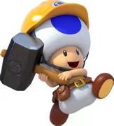 littlenew的个人资料头像