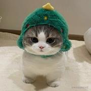 搞毛线的工程狮的个人资料头像