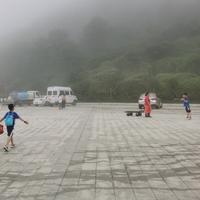 漫步的鱼儿2022头像