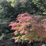水井头像