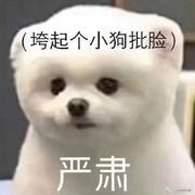 TomaPangWa的个人资料头像