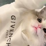 雨宫宫头像