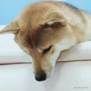 Memory丶的个人资料头像