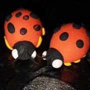 HUNTER的个人资料头像