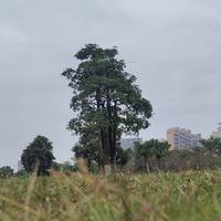 东莞打工人一枚头像