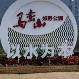 新手小白SPC头像