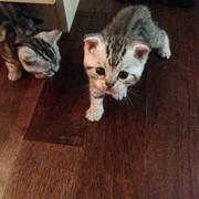 南在南方446的个人资料头像