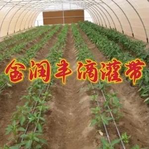 金润丰节水头像