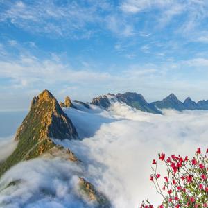 江西灵山头像