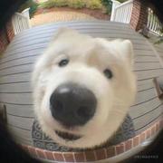 和柒的个人资料头像