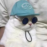 唐伯虎点蚊香xl头像