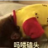 小小月书头像