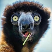 已经无用之人头像