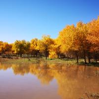 豁达的真诚兵哥头像