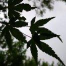 故海歆月的个人资料头像