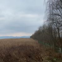 啊黎爱生活头像