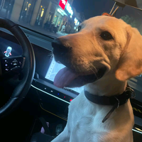 Gloriousyears8头像