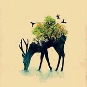 rongye的个人资料头像