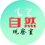 大气扑克d52头像