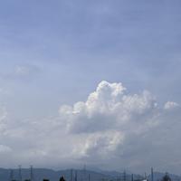 勇敢的豆花J52头像