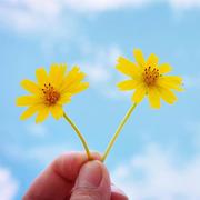 ouwen18357的个人资料头像