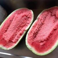 甜蜜制造师头像