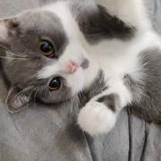 恩嗯额呃的个人资料头像