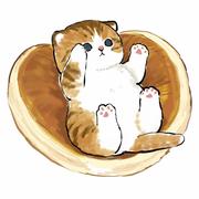 石头568的个人资料头像