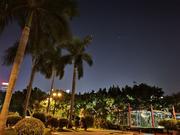 不想奋斗的前端菜鸟的个人资料头像