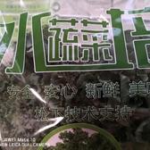 安全盯盯菜头像