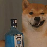 芋泥波波奶茶的个人资料头像