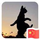 流浪本尊的个人资料头像