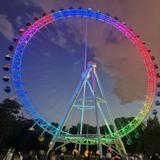 菠萝粑粑大肥兔头像