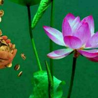 用户4305678944083头像