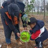 附庸风雅一散人头像