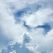 用户1825417443681的个人资料头像