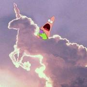 王小乖772的个人资料头像