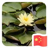 用户58811849头像