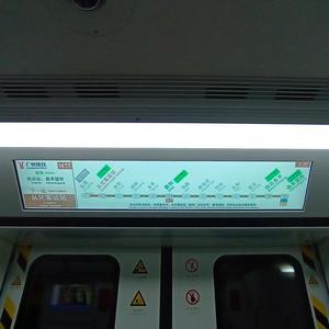 沉迷地铁电梯爱好者头像