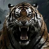 tigerBf109头像