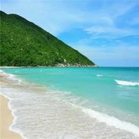驅錡头像