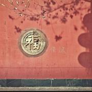 HT607的个人资料头像