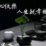 阿华1m8s头像