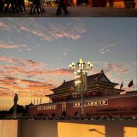 不如就晚安吧头像