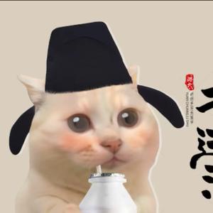 猫meme小剧场头像