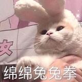薯片怪兽🖤头像