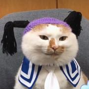 礼弥呕吼的个人资料头像