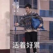 前端小菜花的个人资料头像